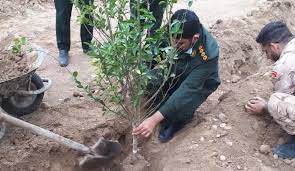کاشتِ ۱۳/۲۵۰ نهال بتعداد شهدای پلیس به مناسبت روز درختکاری درسراسرکشور